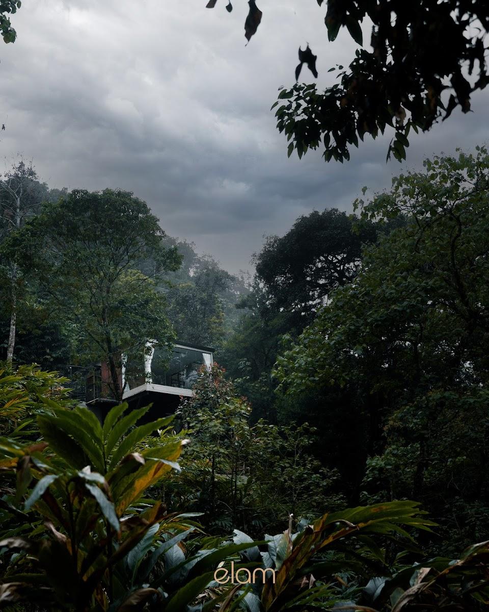 Élam Munnar – photo 2