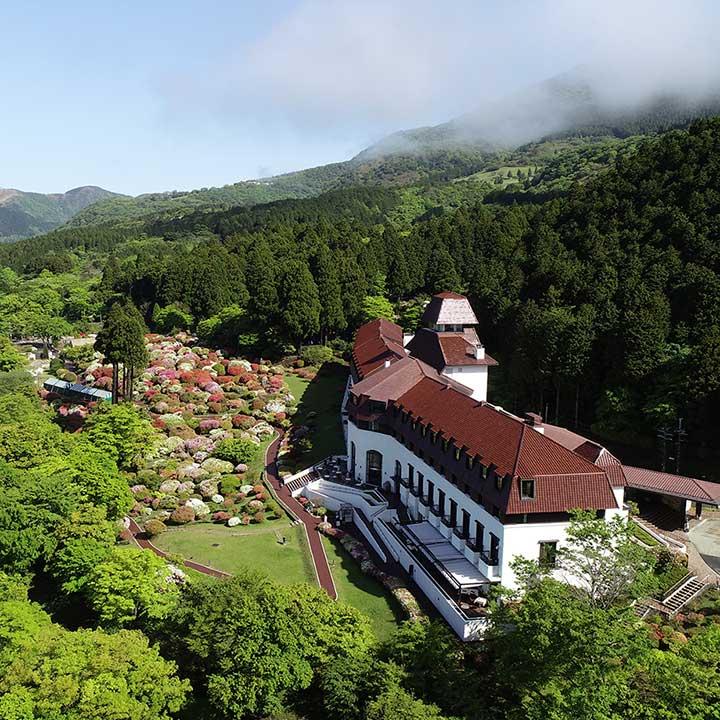 Odakyu Hotel de Yama – photo 4