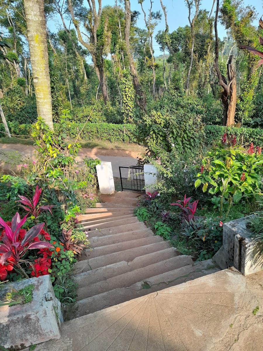 Blue Mountains Estate Stay – photo 4
