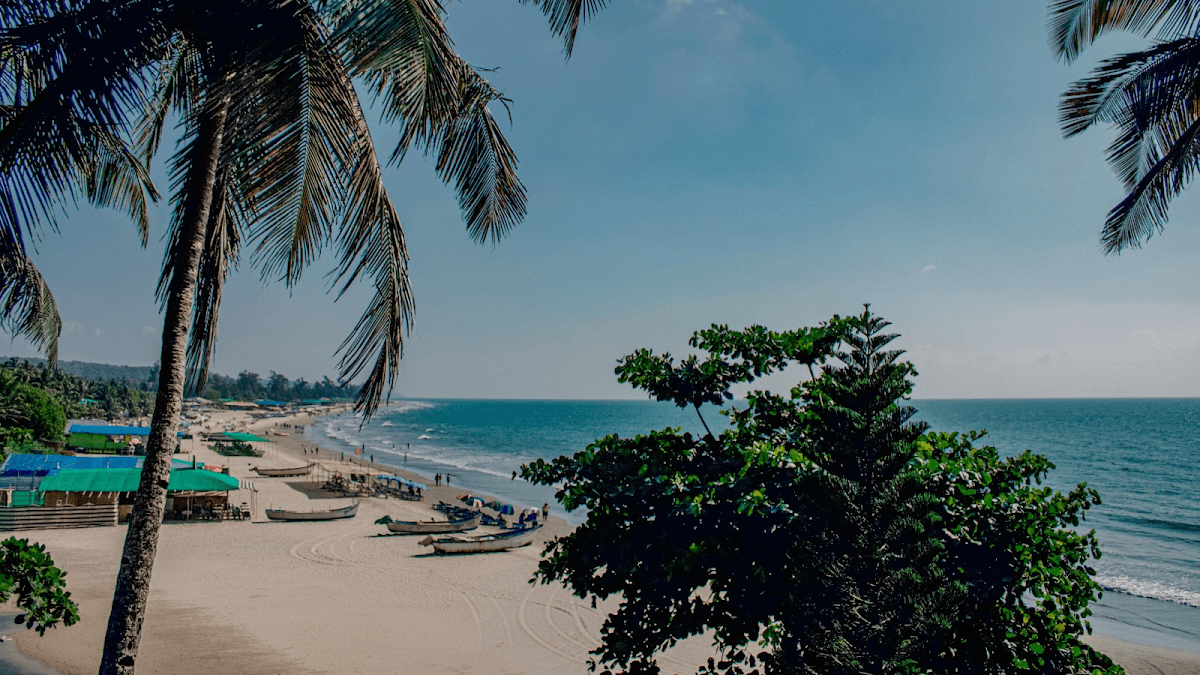 This is it Stays - Seaview Huts and Beach View Rooms – photo 3