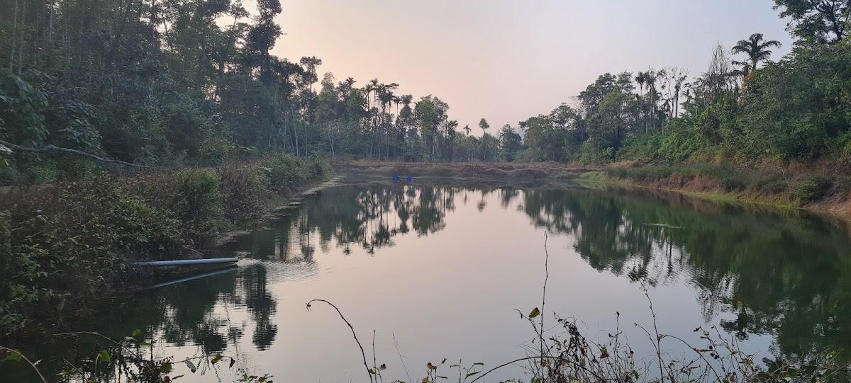 Machaan Plantation Resort – photo 3