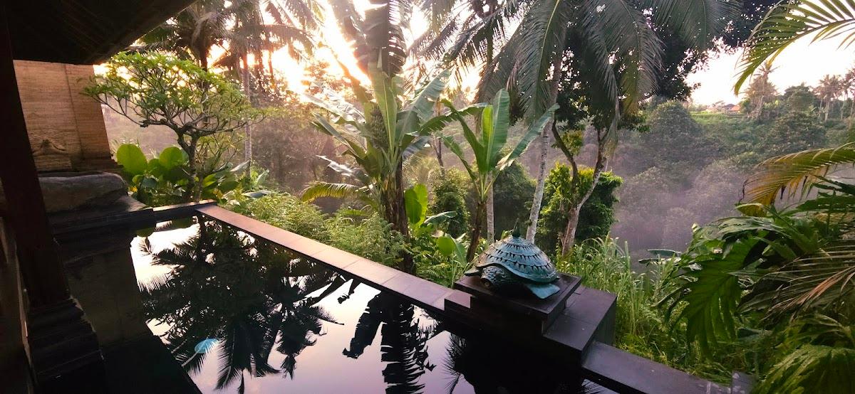 Sanna Ubud A Pramana Experience – photo 3