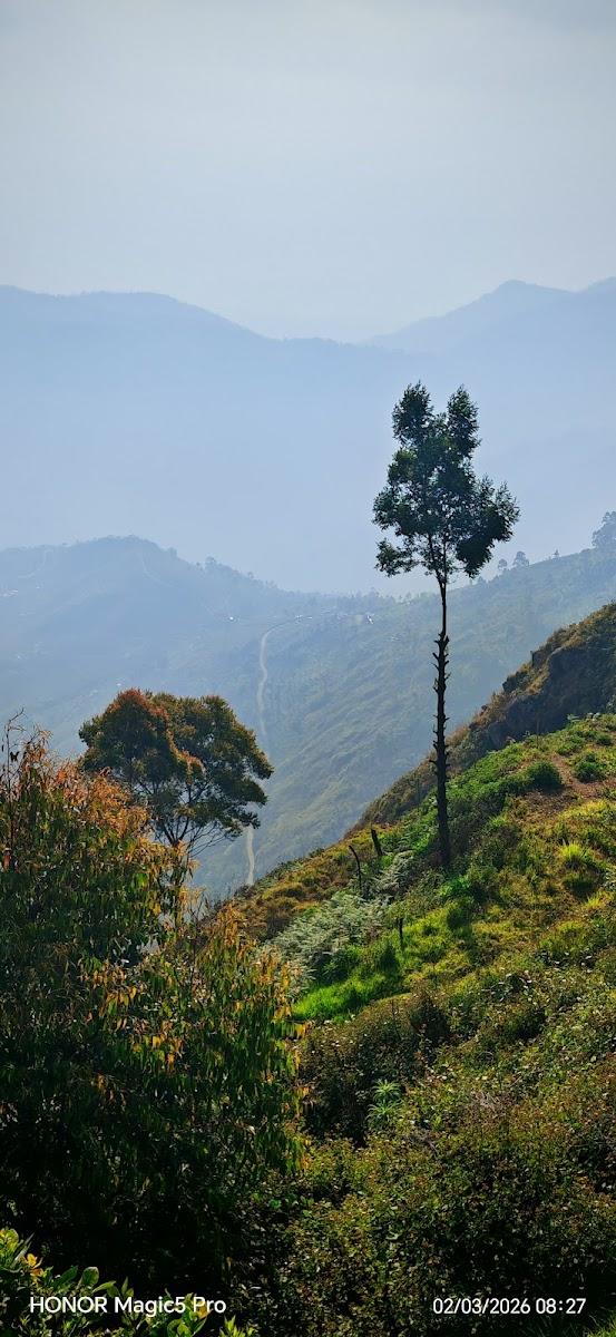 The High Altitude – photo 2