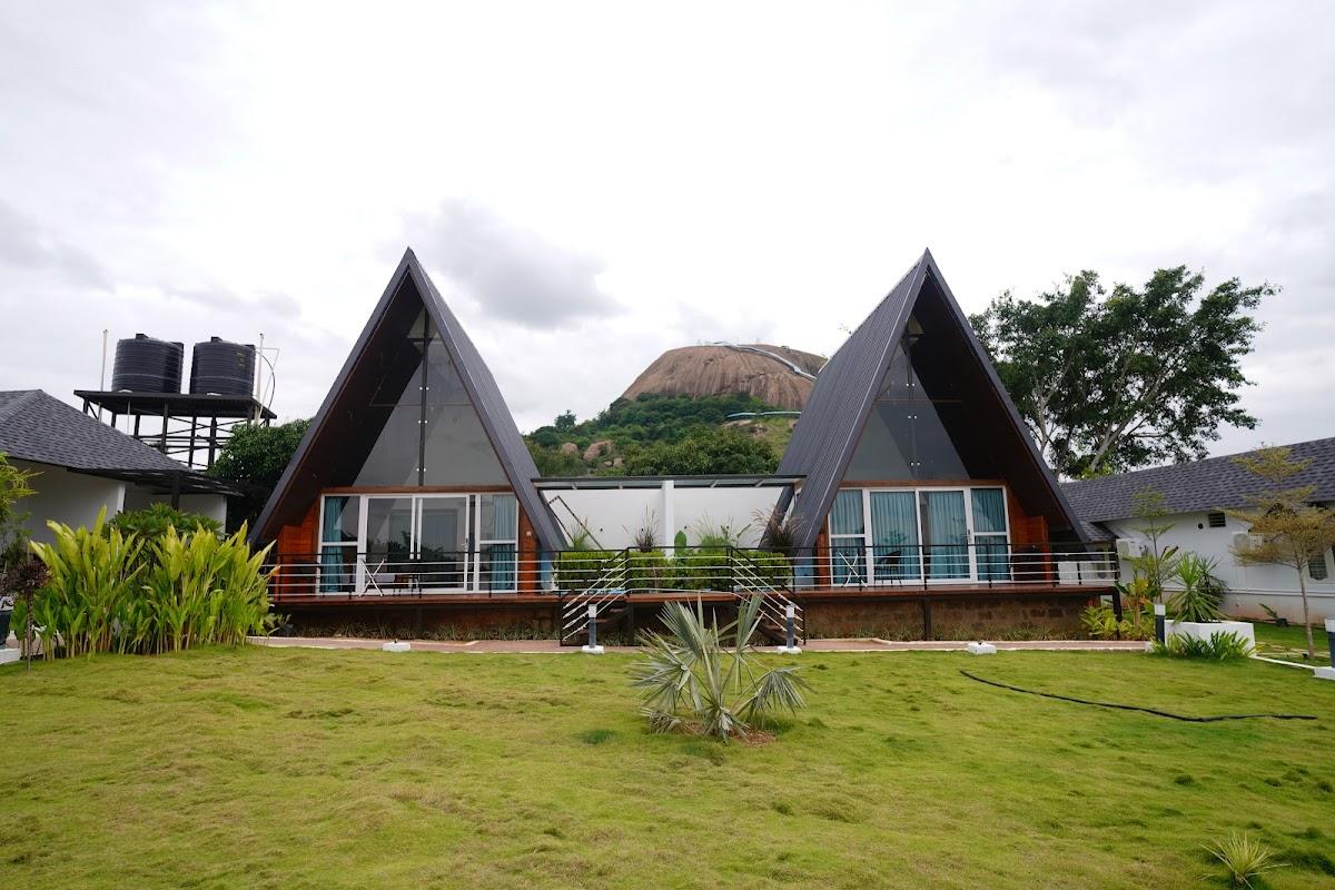 Q Mango Forest – photo 1