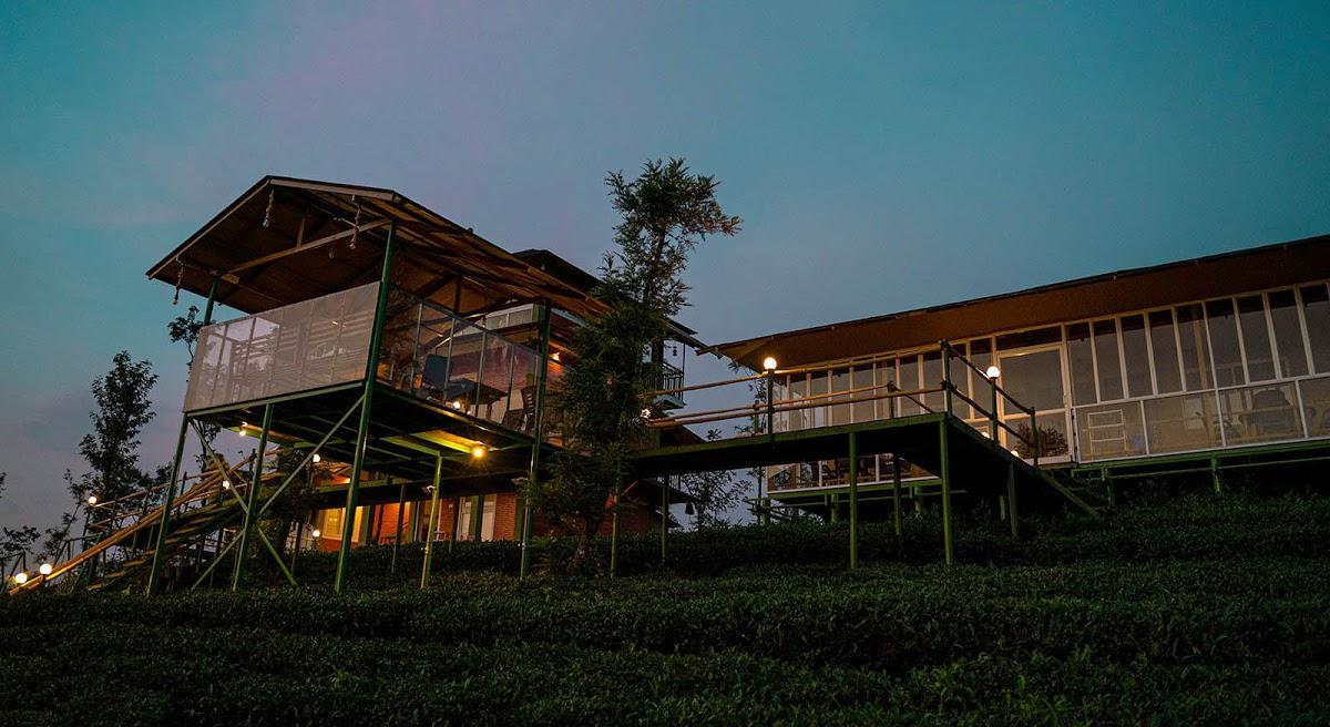 Tea Forest Resort – photo 3