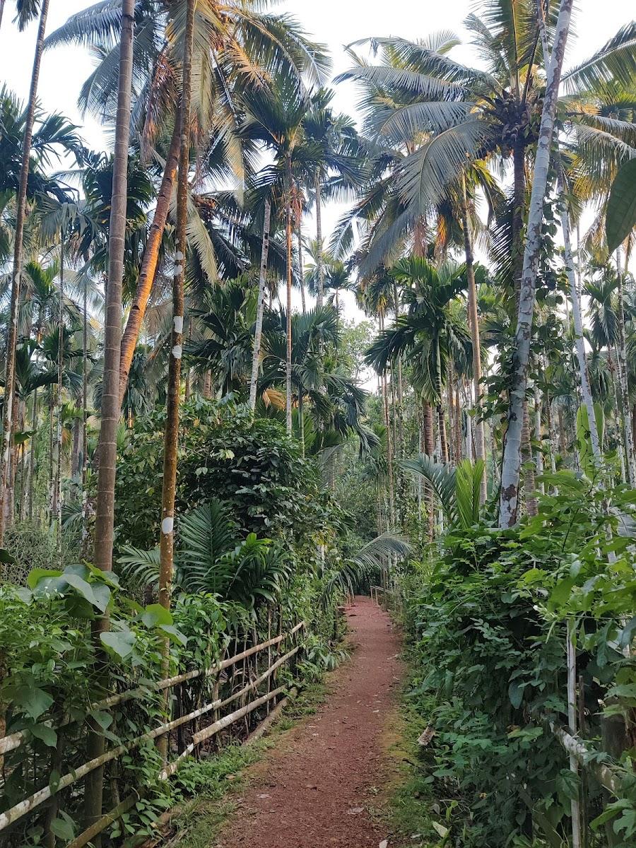 Sahakari Spice Farm – photo 4