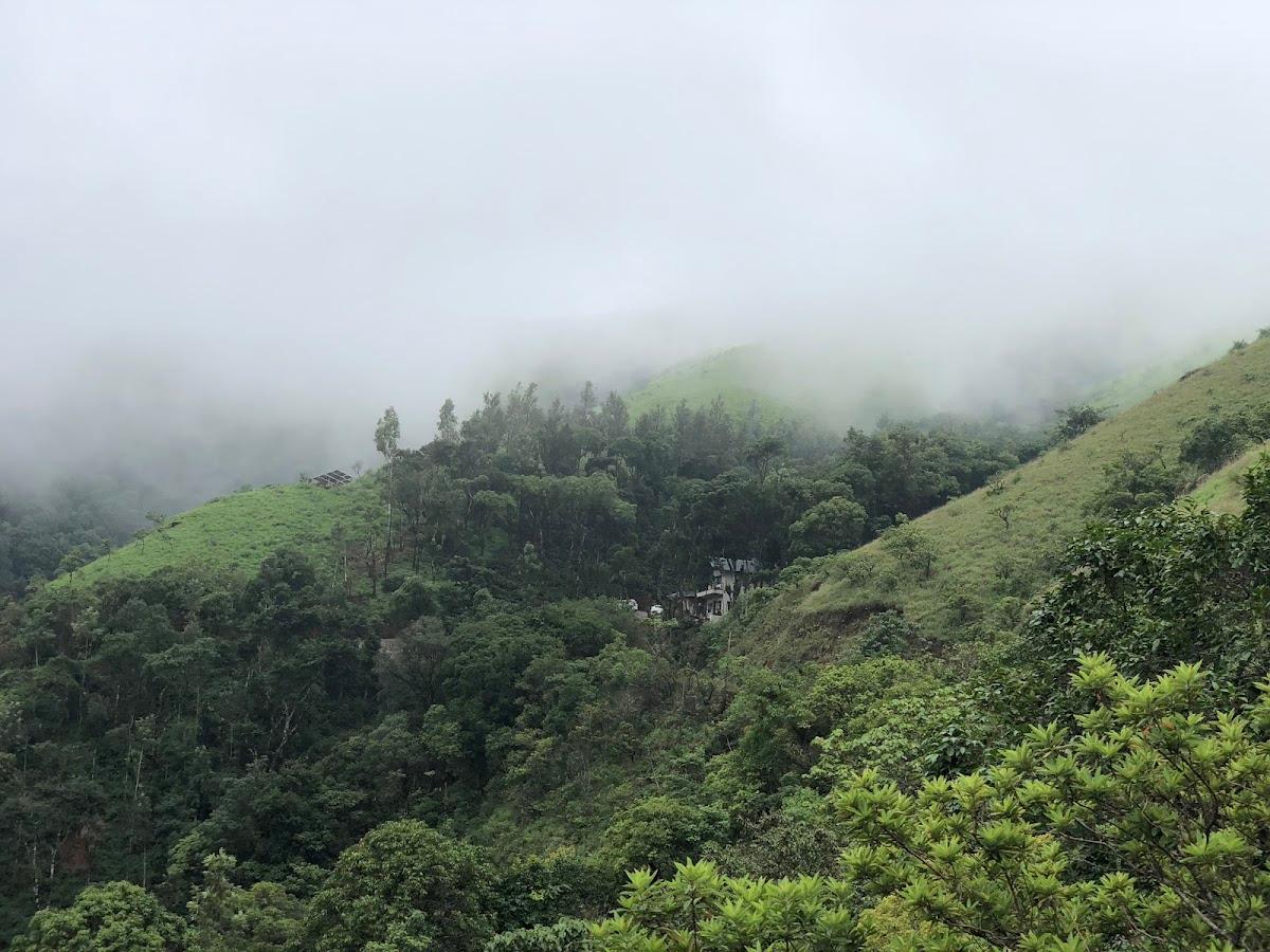 TanArya – photo 1