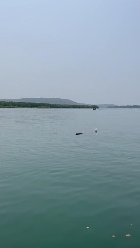 House On Waves – photo 2