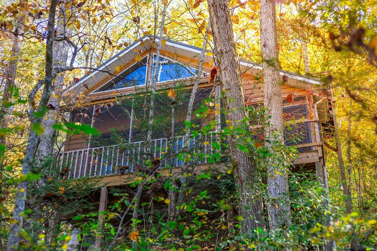 Red River Gorgeous Wilderness Treehouse & Cabin Rental – photo 2