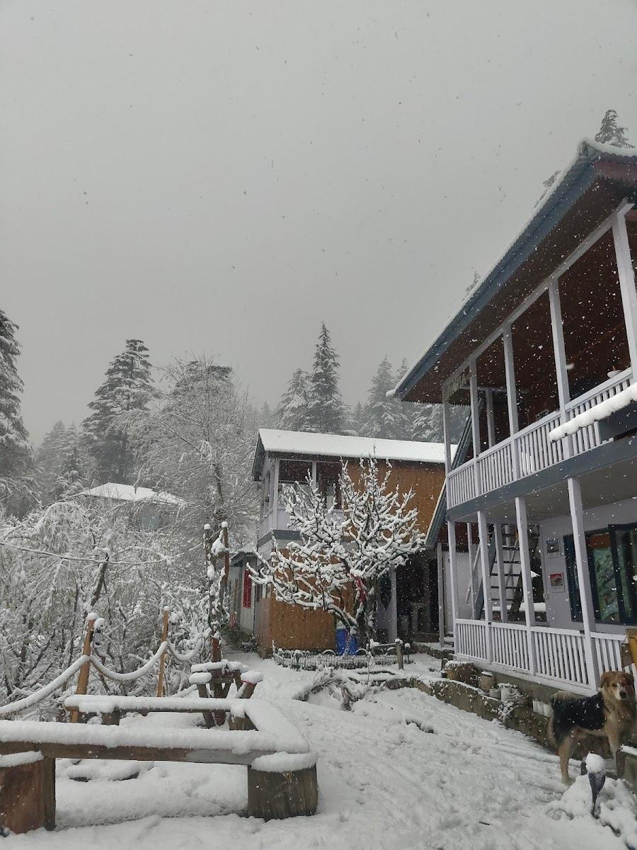 Euphoria - Cafe & Hostel – photo 2