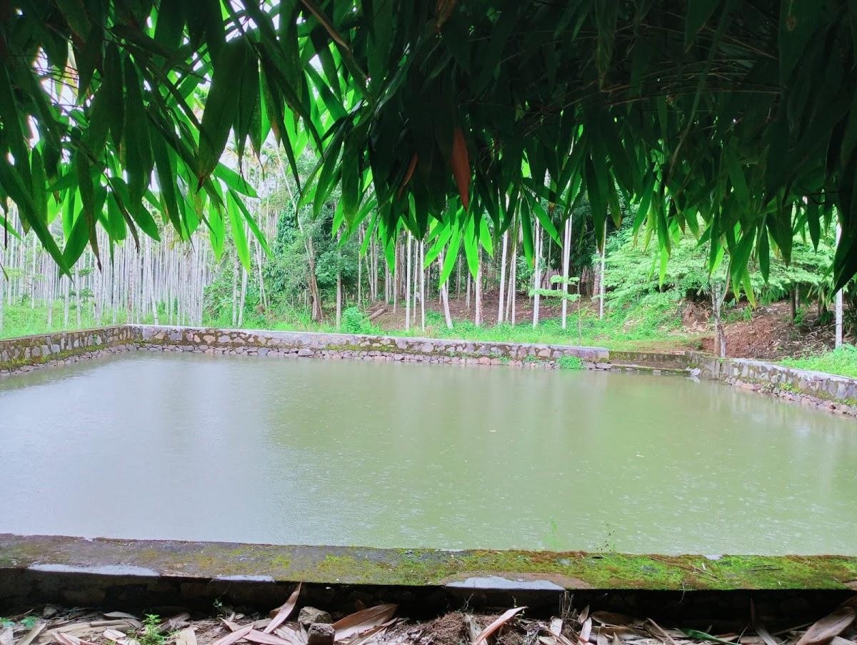 Bamboo Nest Homestay – photo 1