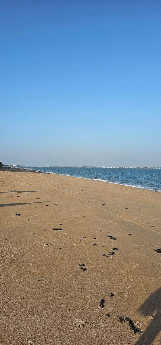 Elysium Marine Camp & Resort – photo 3