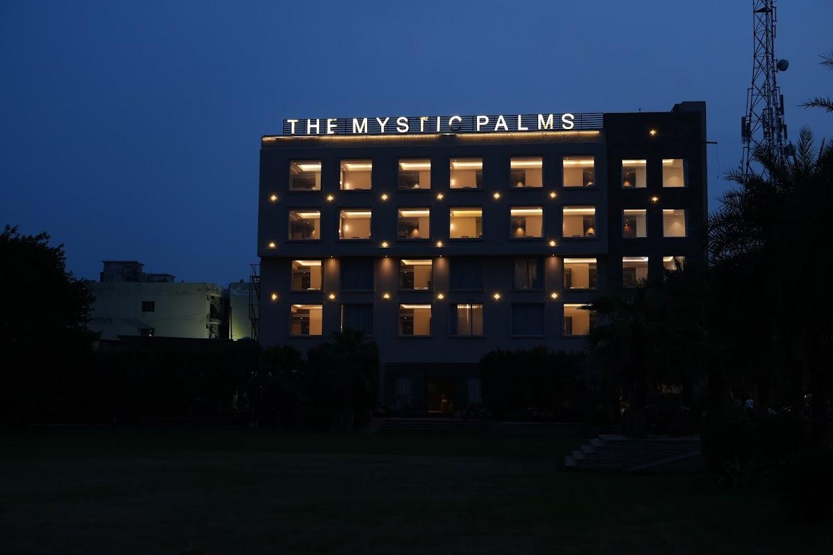 The Mystic Palms – photo 2