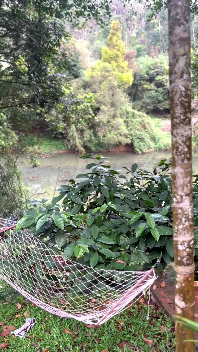 Ende Wayanad Resorts – photo 1