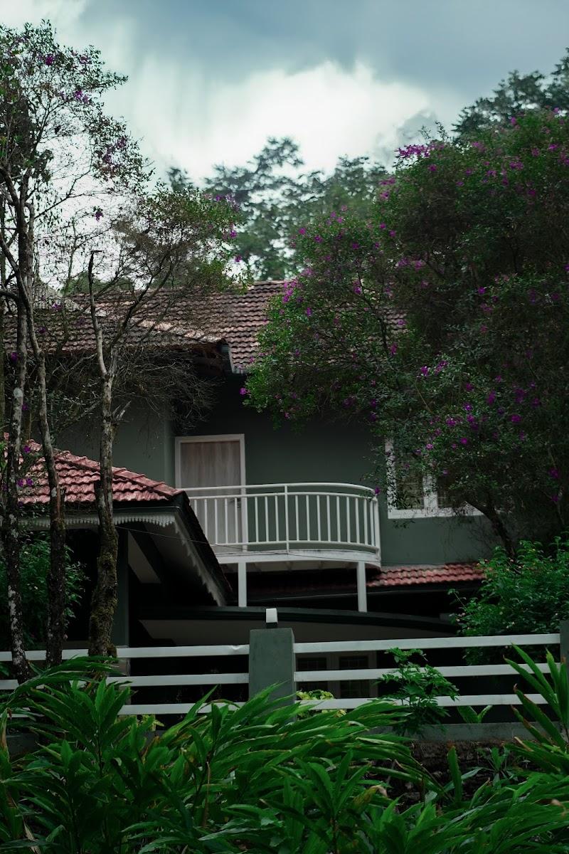 wildzone private villa – photo 1