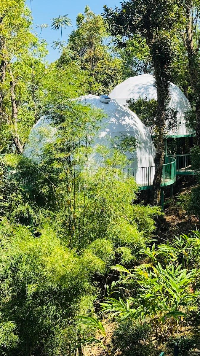Willmount Geodesic Domes Vagamon – photo 2