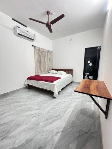 Tulips homestay