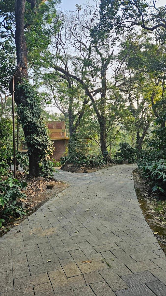 The Birchwood Retreat – photo 4