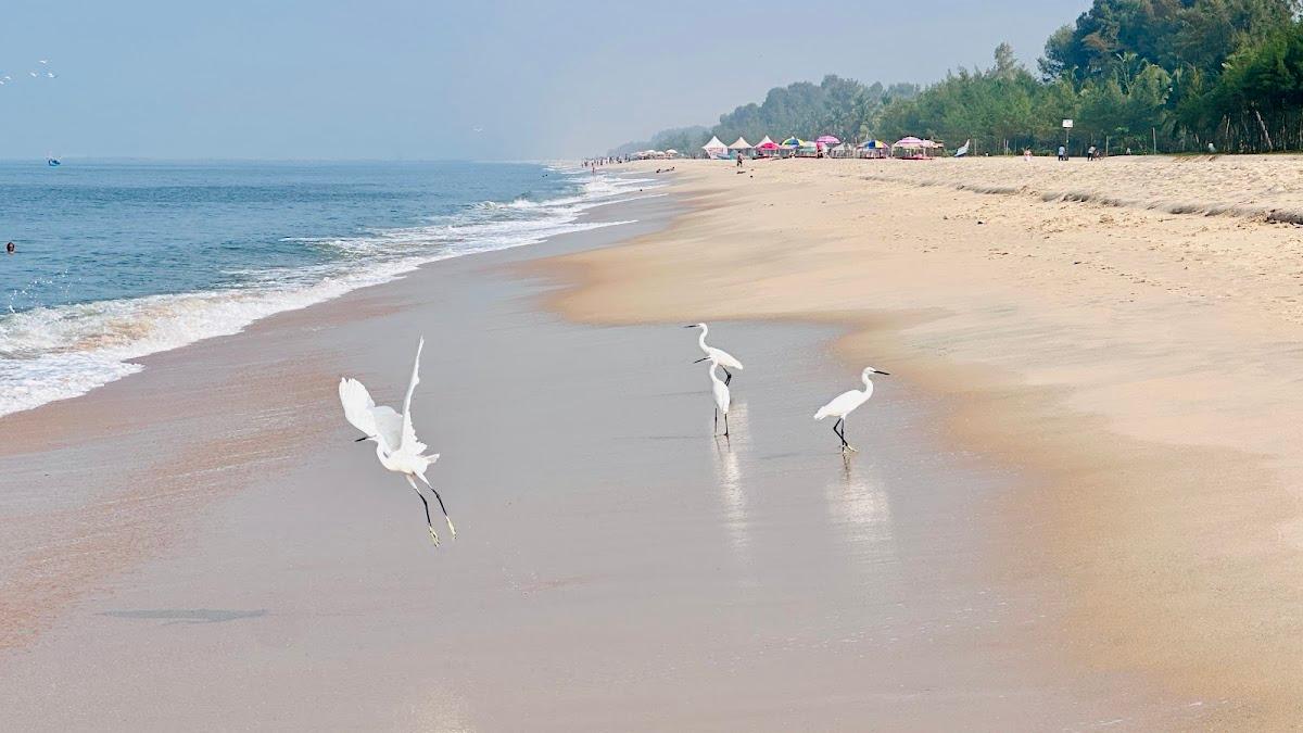 Marari Anna Beach Homestay – photo 3