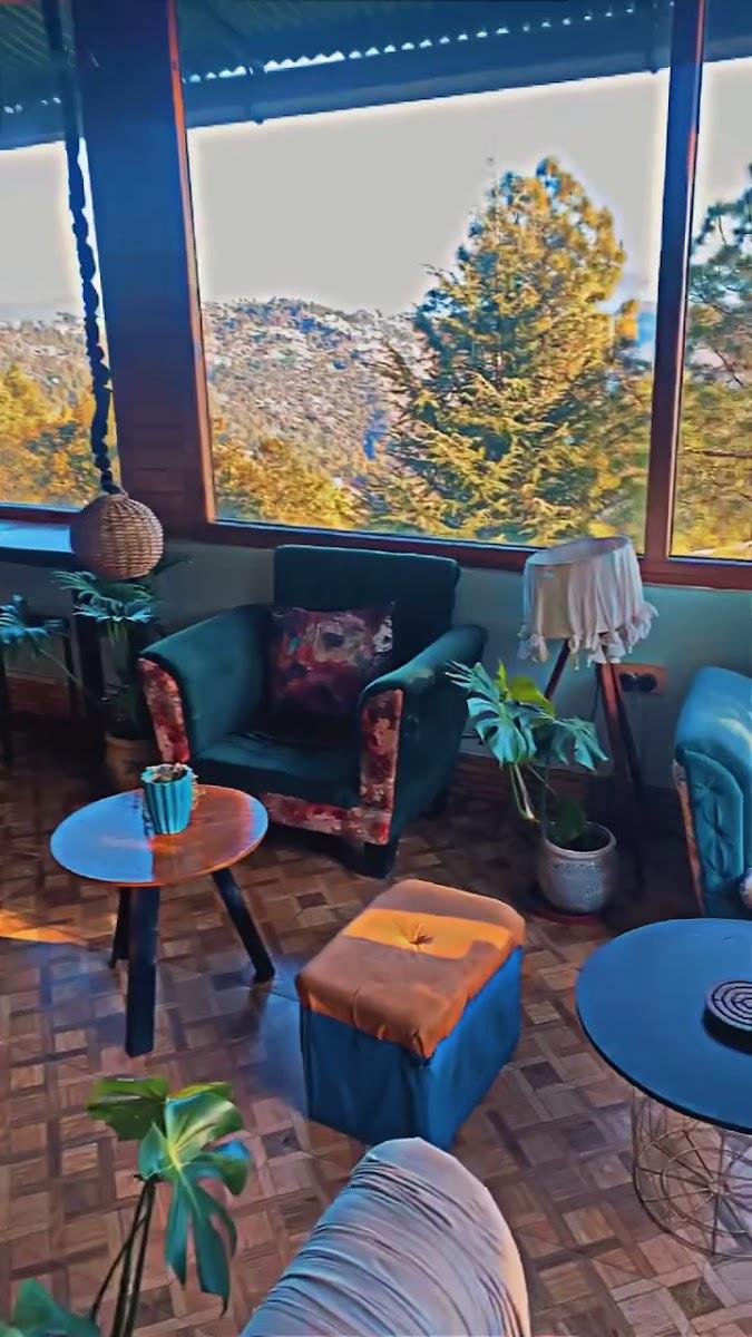 Stars & Pines Hostel – photo 2