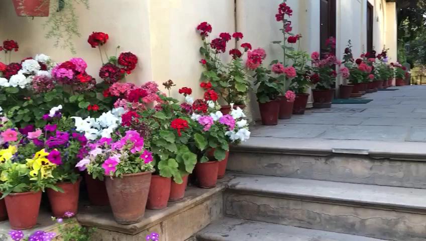Samode Haveli – photo 1
