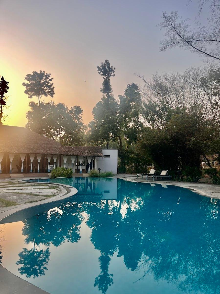 Jim's Jungle Retreat – photo 4