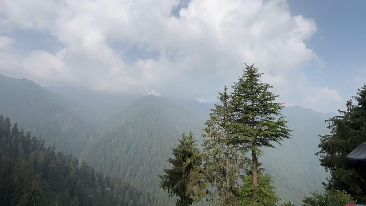 Ebiza-Shoja – photo 3