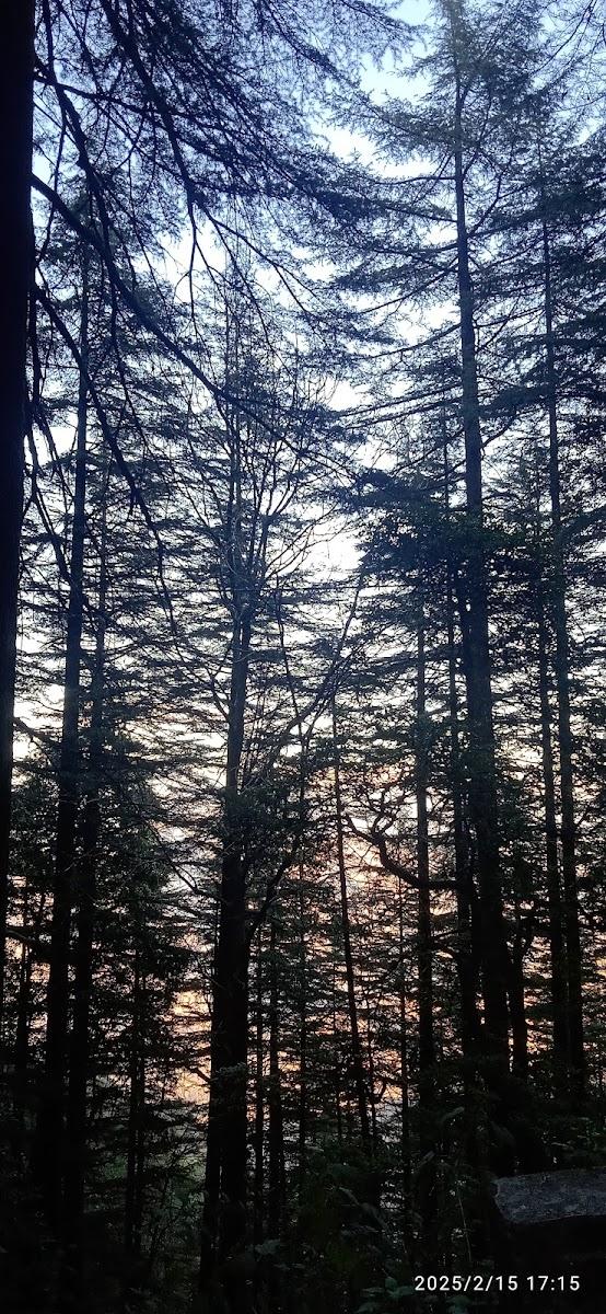 Landour Vintage Homestay – photo 4