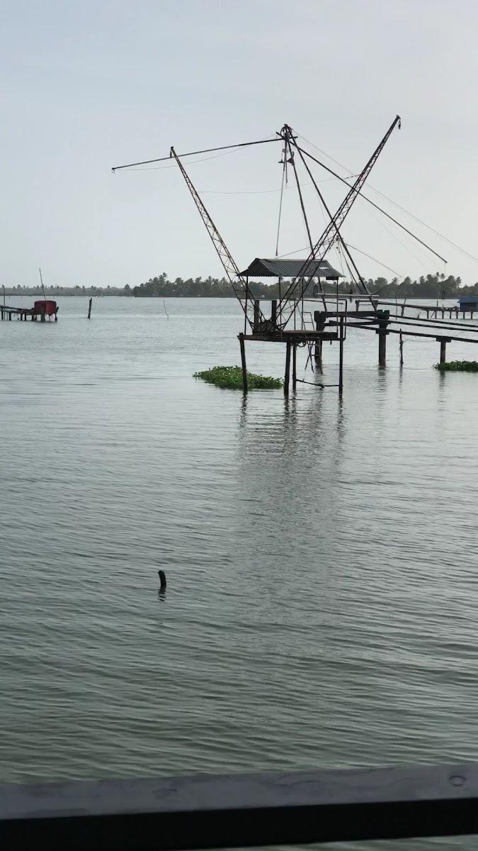 Zostel Kochi (Kumbalangi) – photo 2