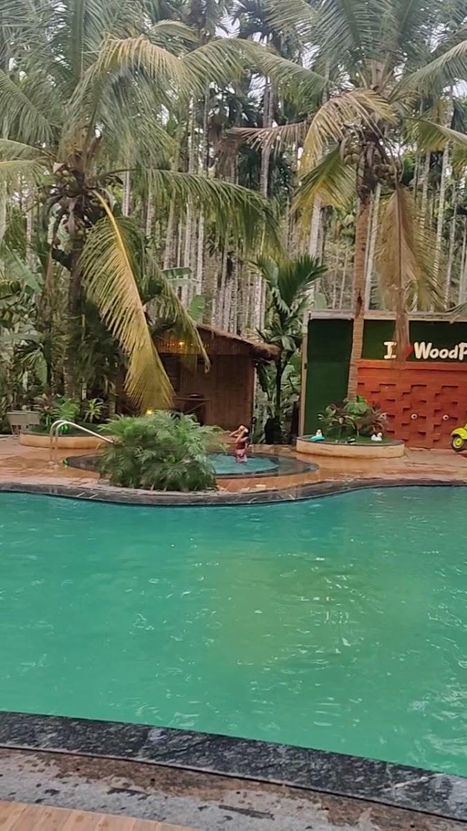 Woodpecker Exotica – photo 4