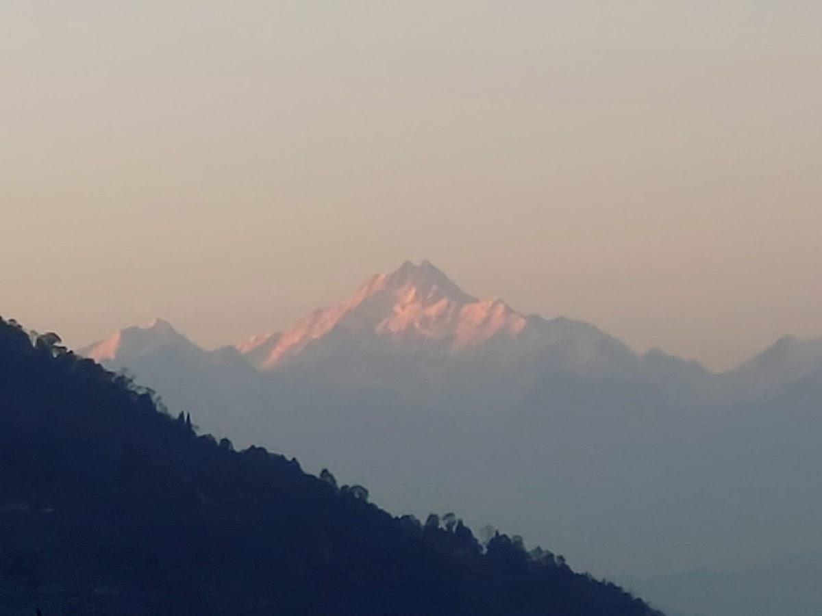 WILD ORCHID HOMESTAY – photo 2