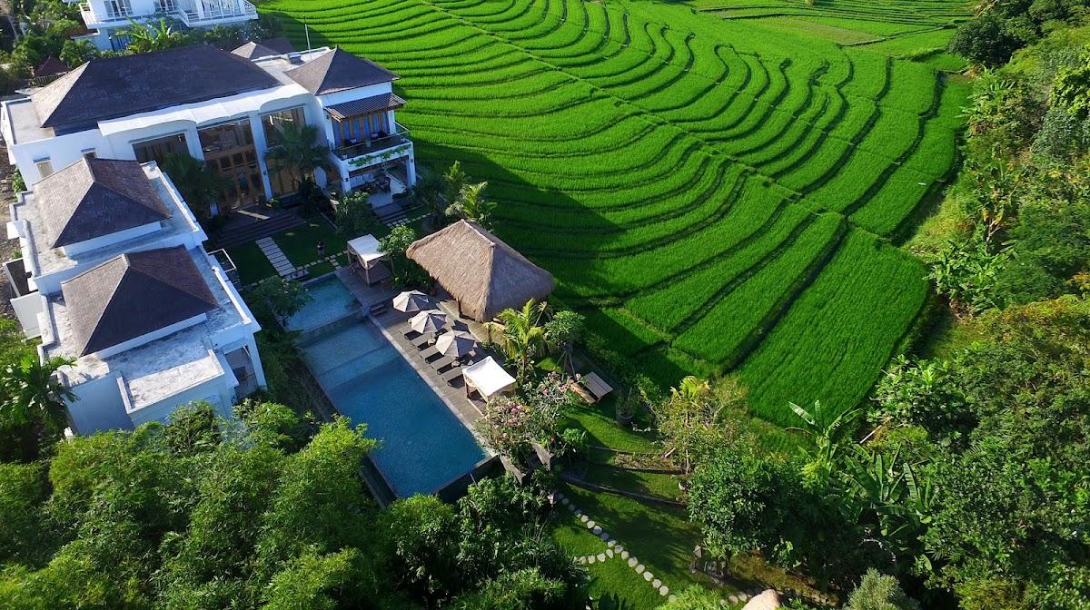 Villa Bamboo – photo 4