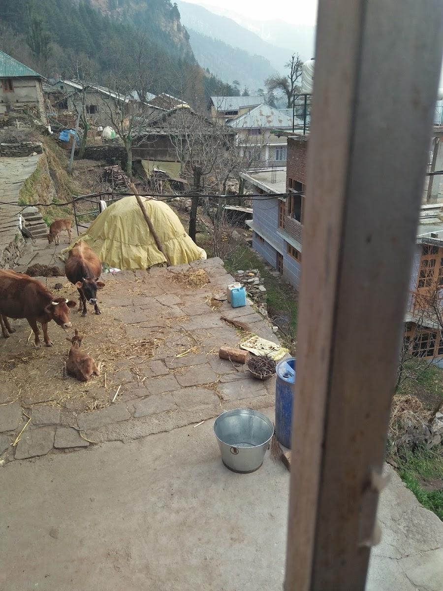 Chandratal Cottage – photo 3