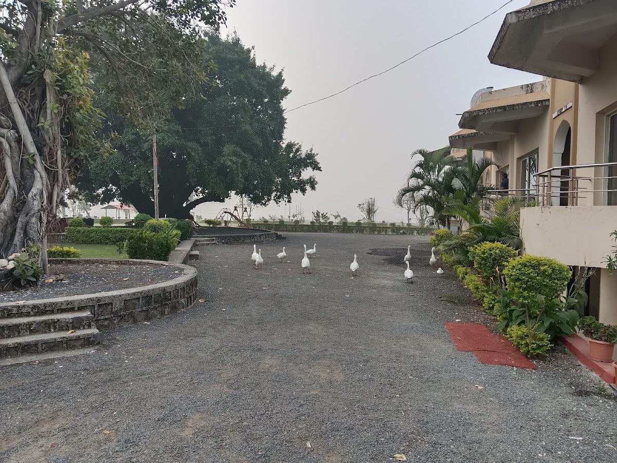 TGI Jahaj Mahal Hotel Mandu – photo 4