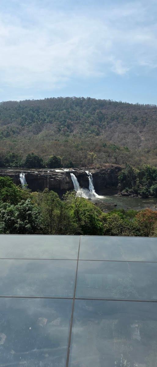 Flora Misty Falls Athirappilly – photo 2