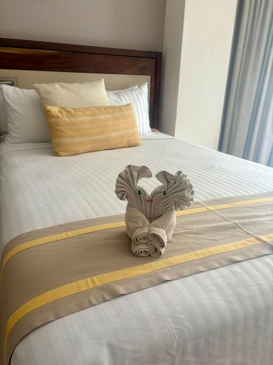 Royal Solaris – photo 3