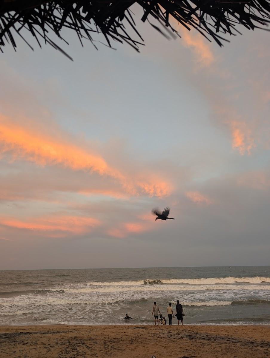Ostel.in Pondicherry (Auroville) – photo 4