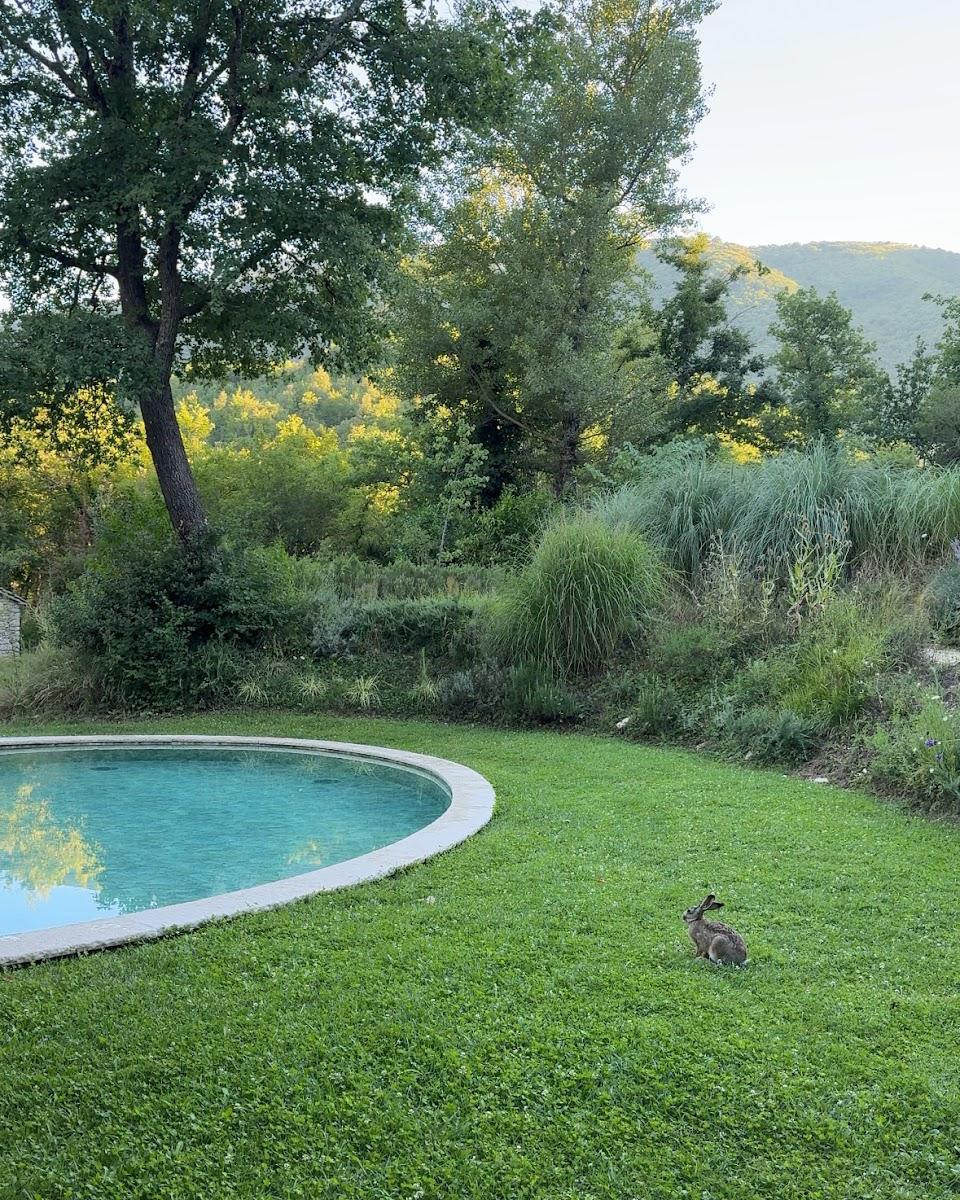 Tenuta di Murlo – photo 2