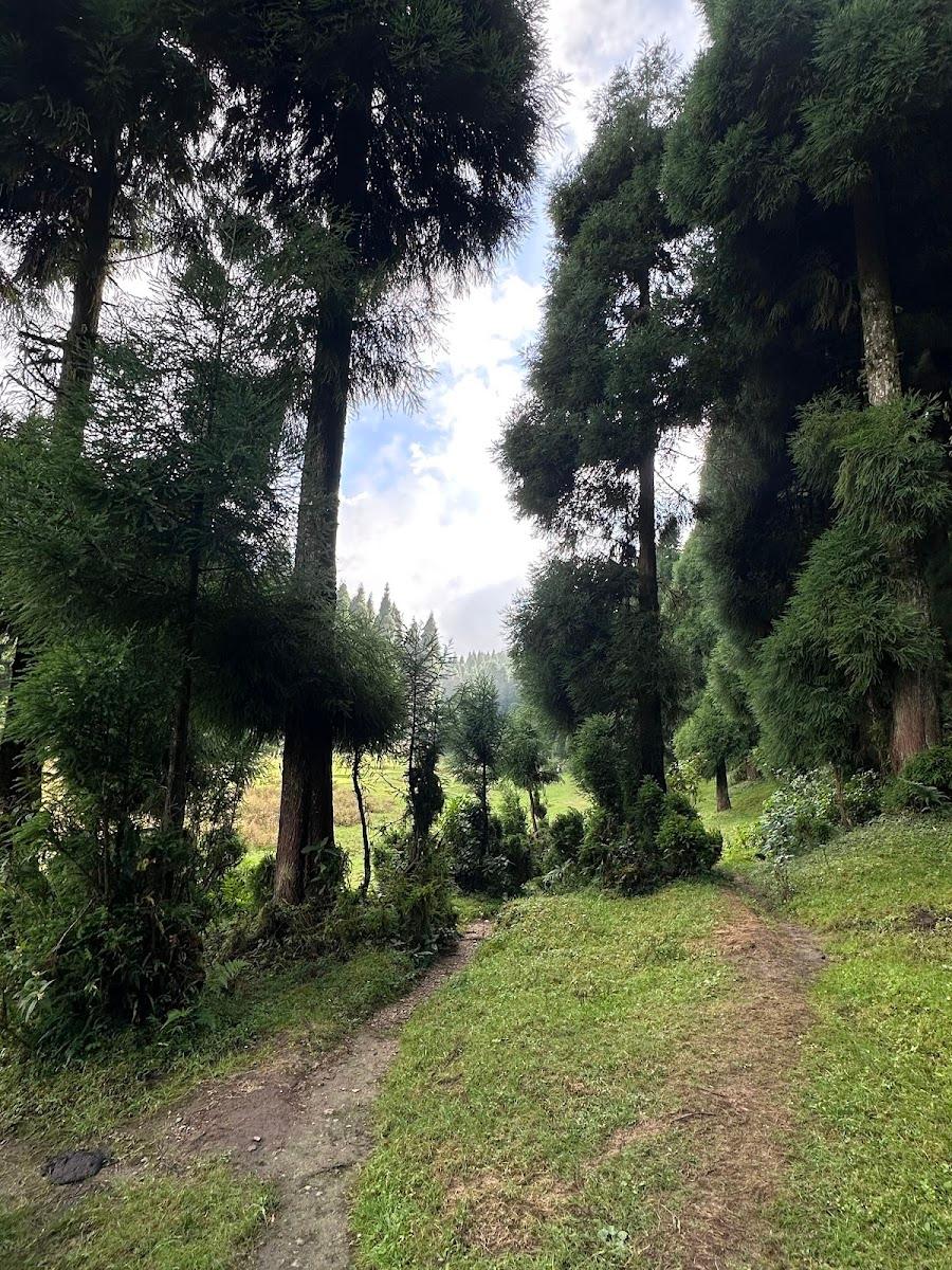 Majhidhura sukhia pokhari darjeeling – photo 2