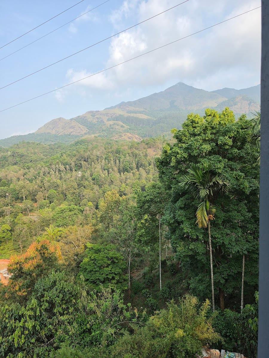 Vythiri Retreat Resort – photo 4