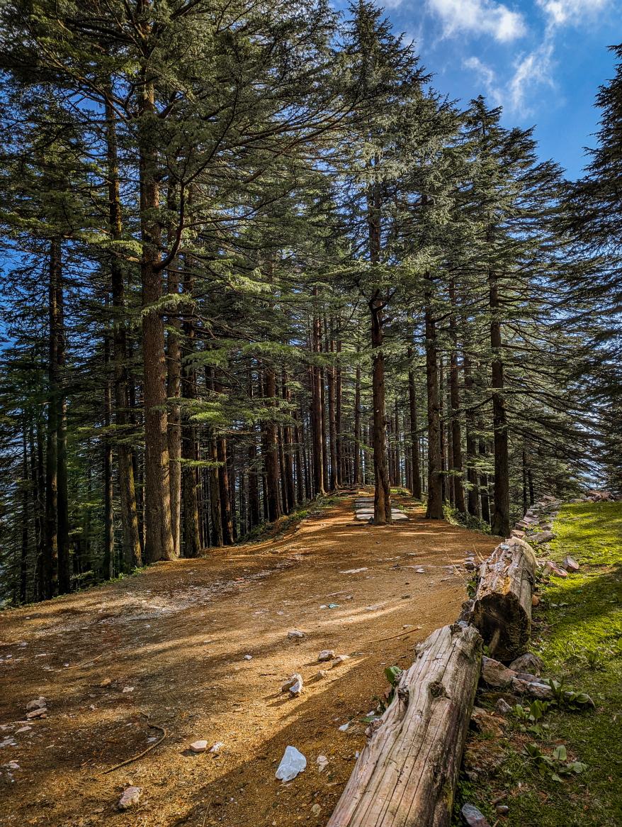 Budher Forest Rest House – photo 1