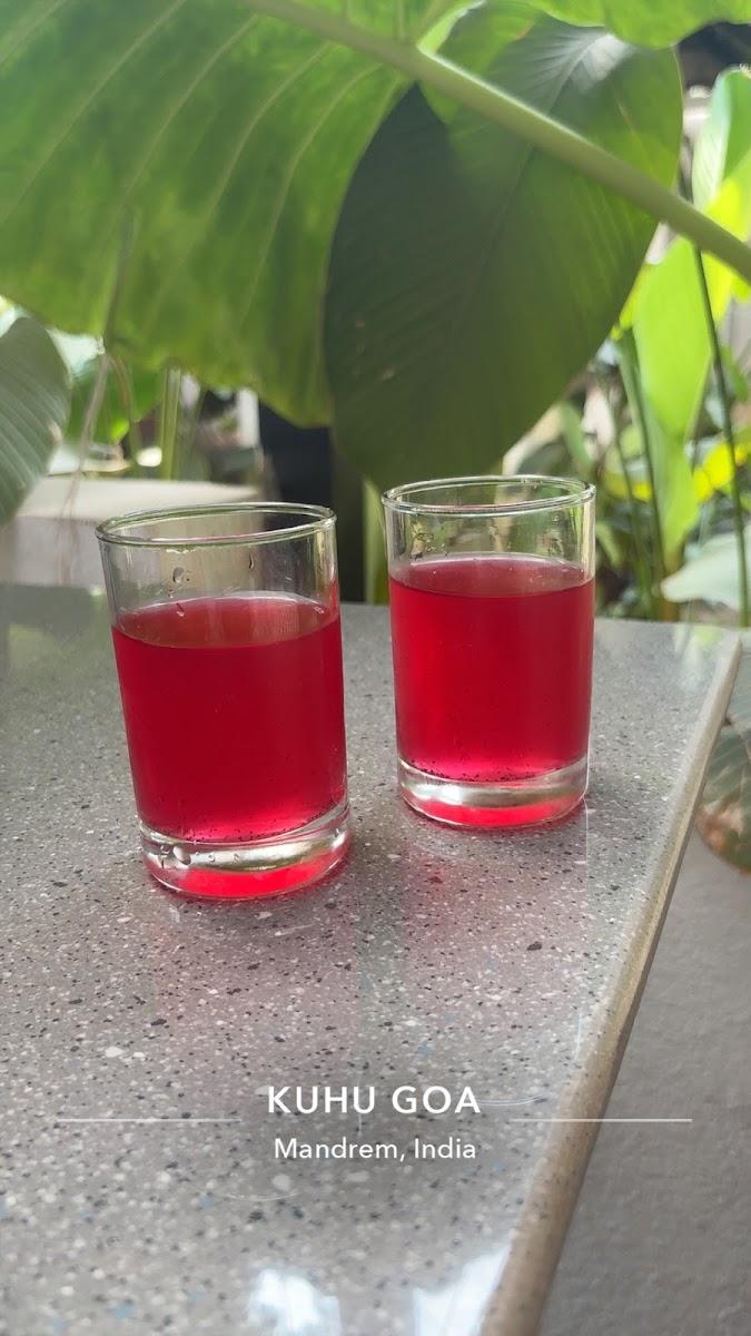 Kuhu goa – photo 2