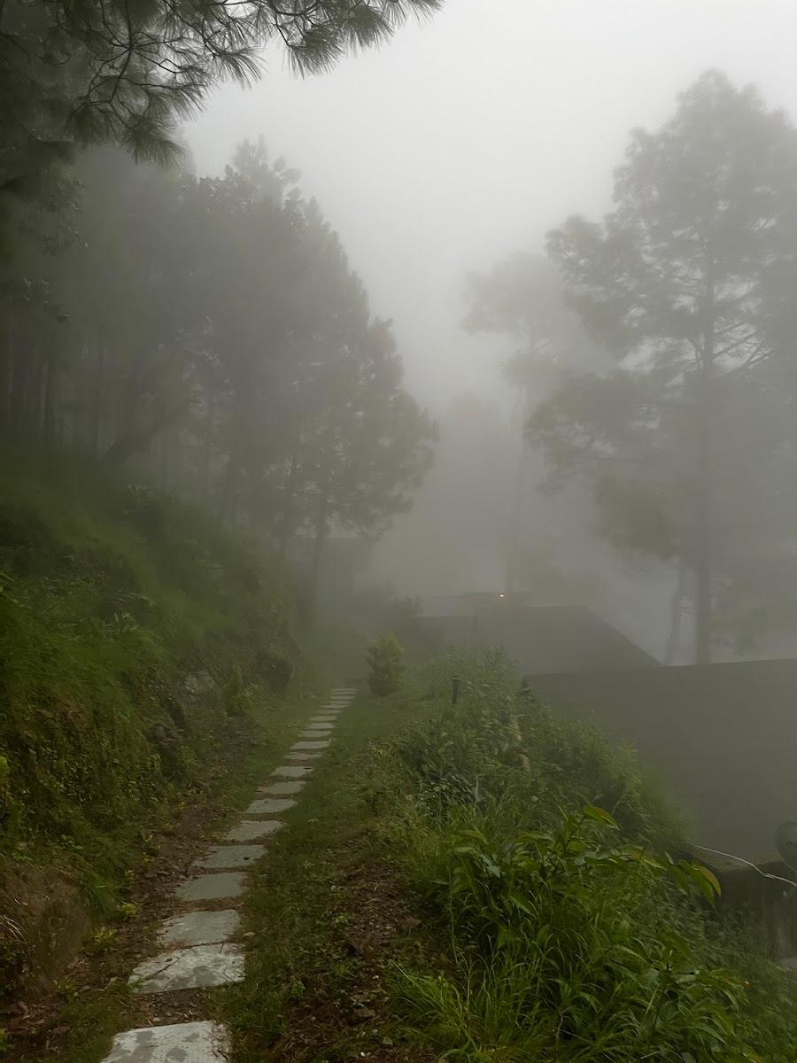 tatvam resort – photo 4