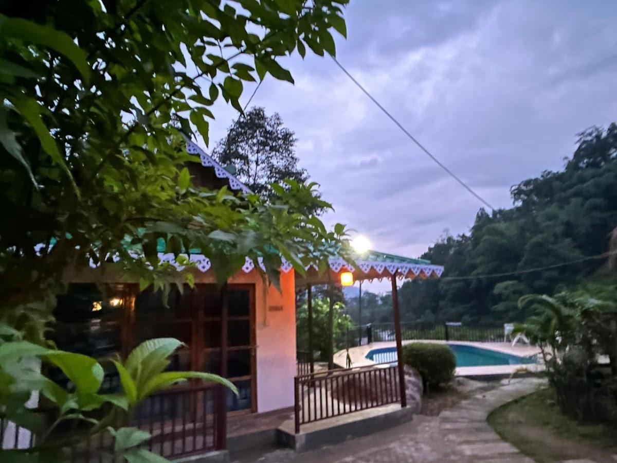 Bamboo Resort – photo 3