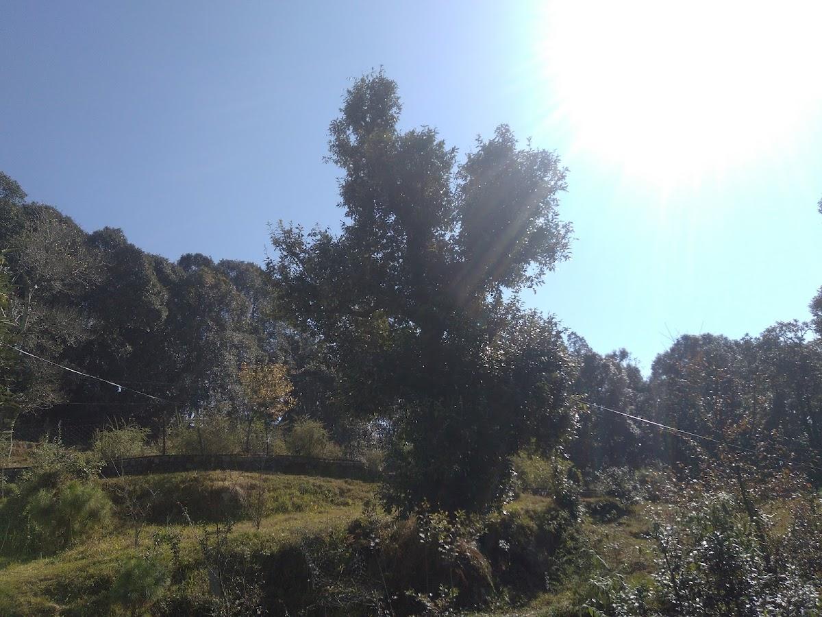 Hotel Pristine Retreat – photo 4