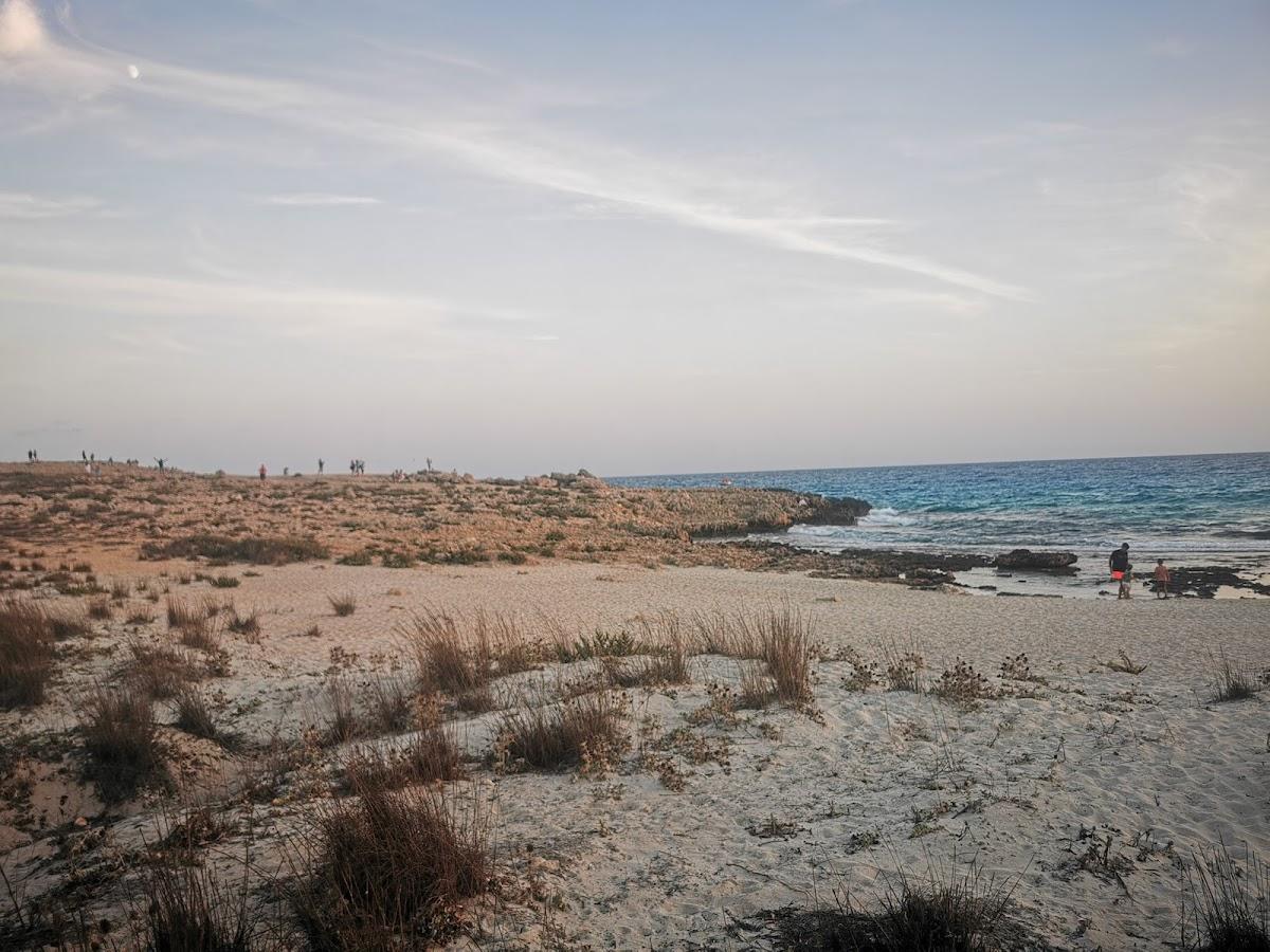 Ayia Napa Central – photo 3