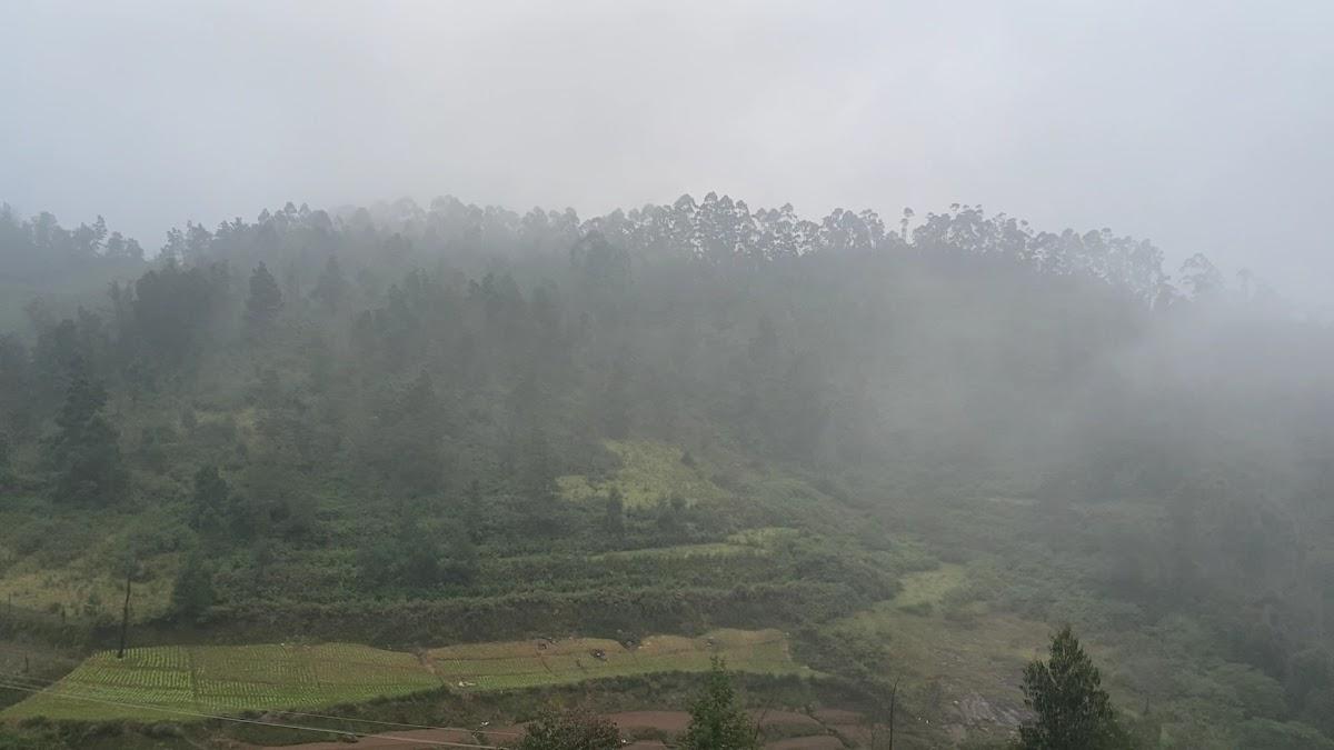 Cloudy Nandy Hills Camping Stay Poombarai, Kodaikanal – photo 4
