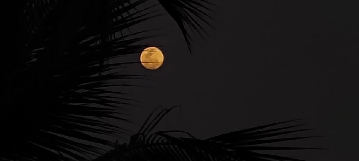 Kannur West Beach Homestay – photo 2