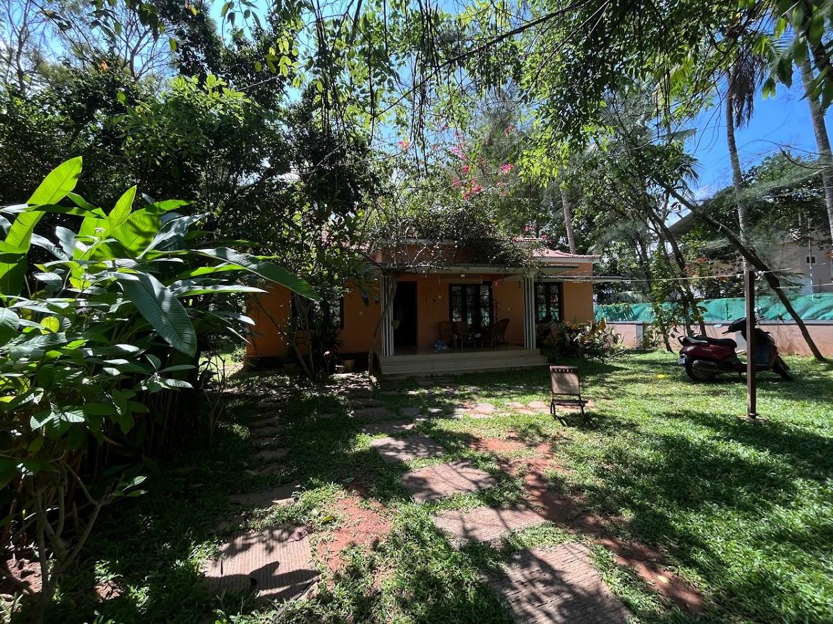 Green Grass Villa – photo 4
