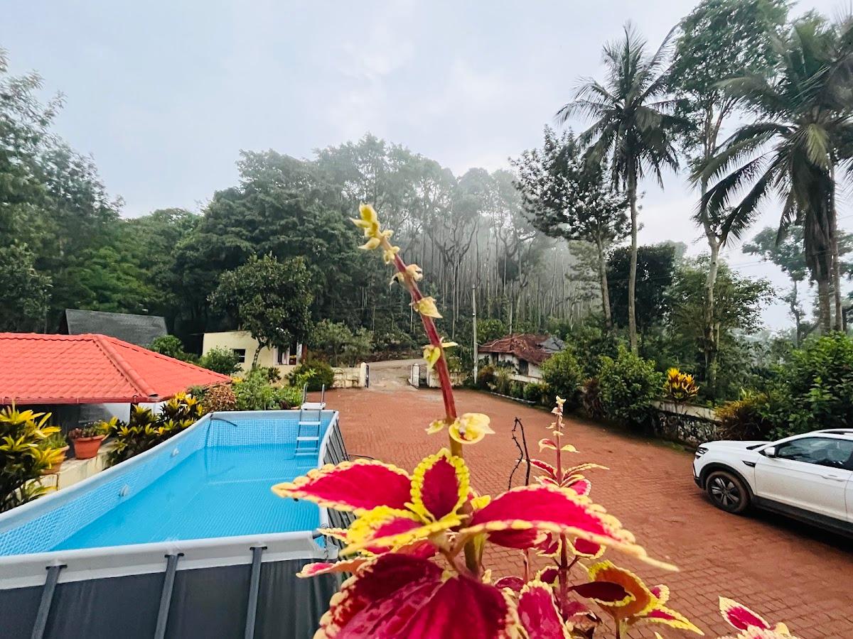 Birds Eye Estate, Chikmagalur – photo 4